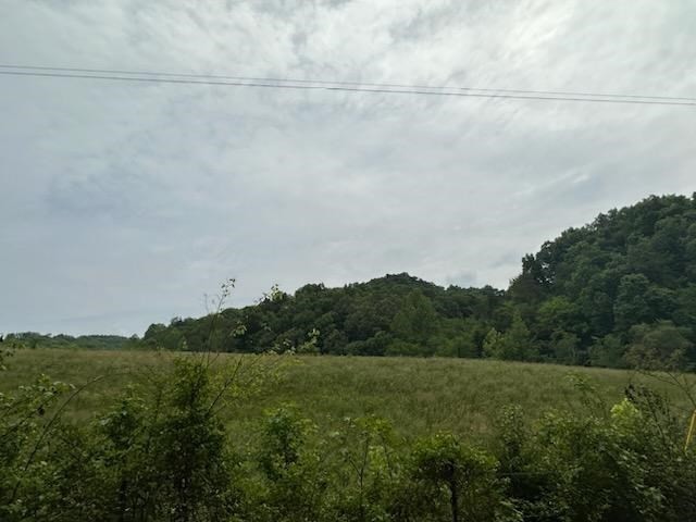 1065 Stanton Road Seymour, TN 37865 - Photo 43 of 61