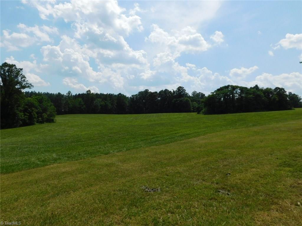 2913 Spann Road Hamptonville, NC 27020 - Photo 6 of 29 Gallery Image 6