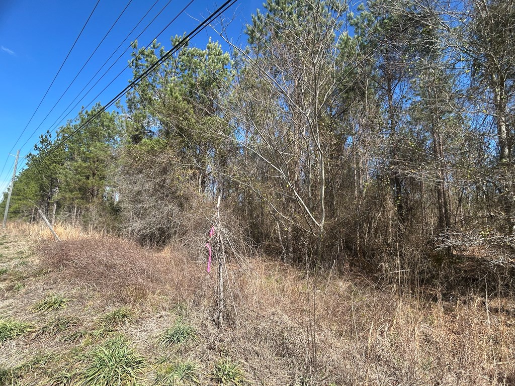 Lot 3-15 -ac Cottonwood Rd/ Phillips Road Cottonwood, AL 36320 - Photo 11 of 49