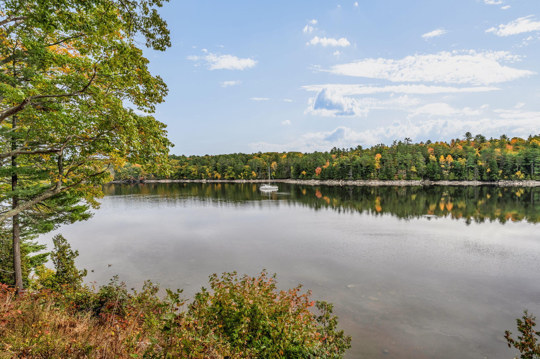 443 Main Road North Hampden, ME 04444 - Photo 16 of 63 187 feet of water frontage