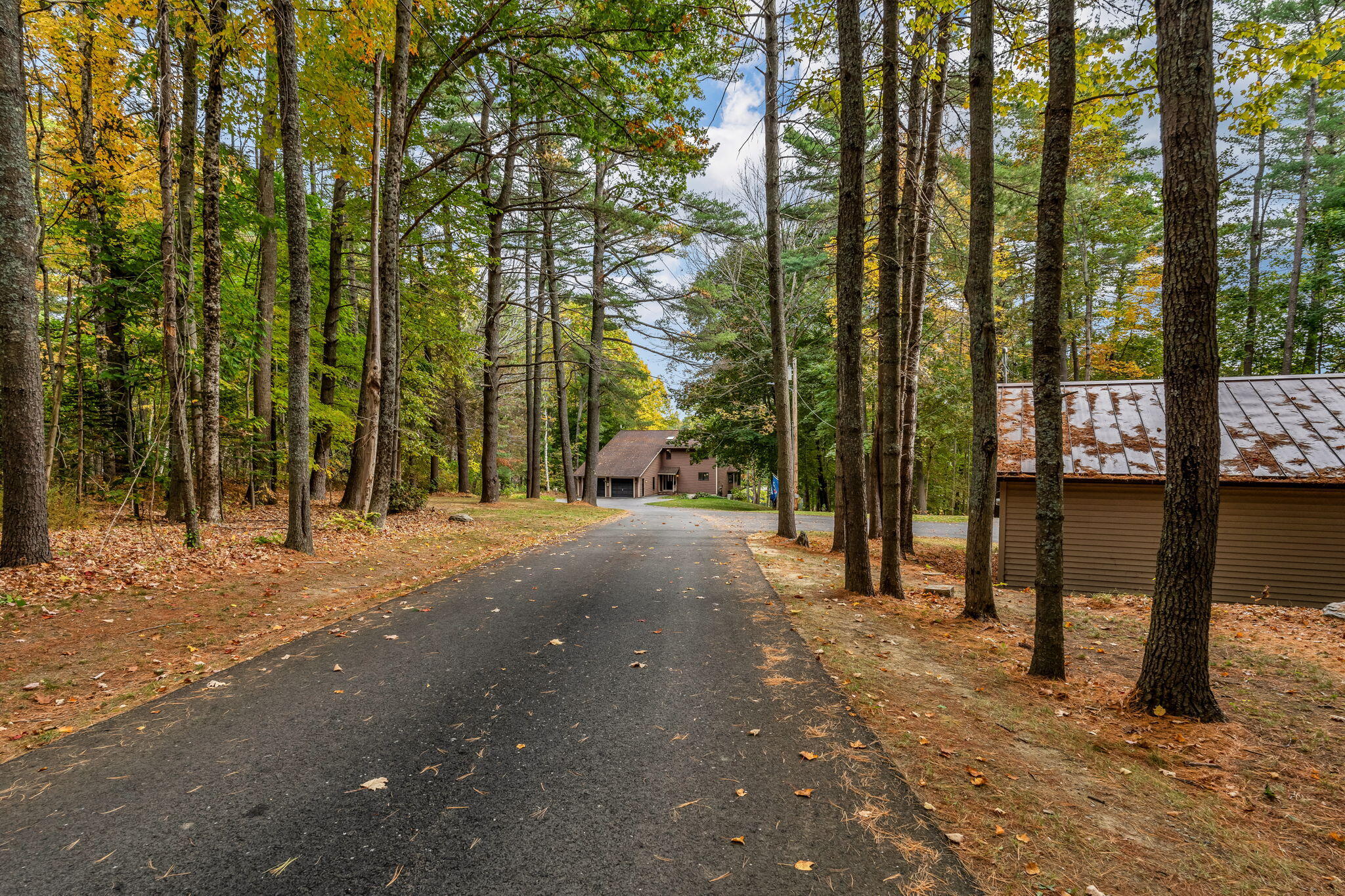 443 Main Road North Hampden, ME 04444 - Photo 3 of 63 Beautiful tree-lined driveway