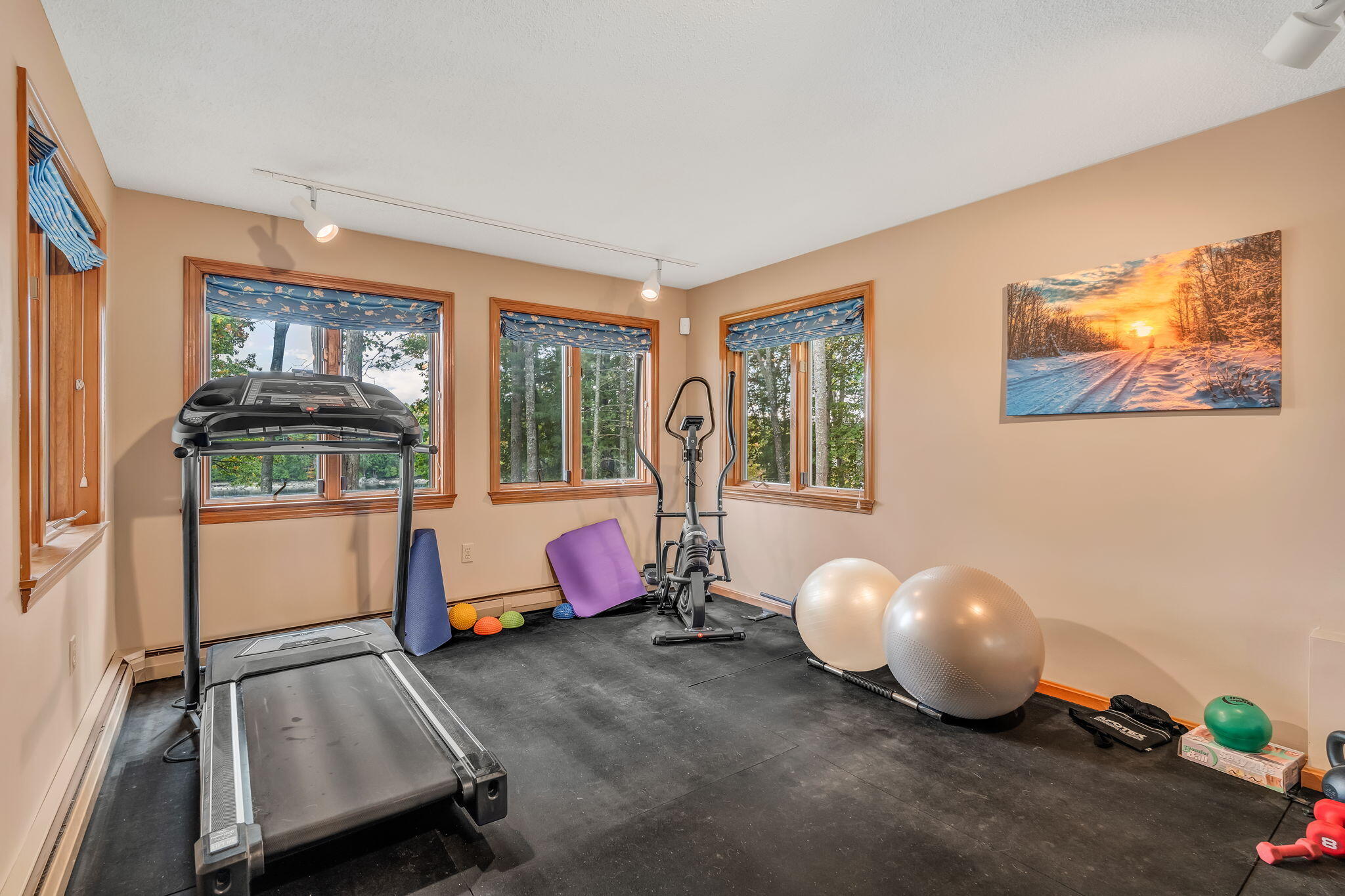 443 Main Road North Hampden, ME 04444 - Photo 49 of 63 Finished basement home gym area