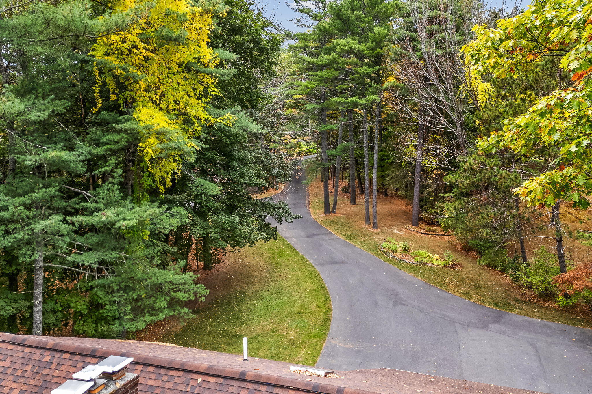 443 Main Road North Hampden, ME 04444 - Photo 5 of 63 Picturesque driveway