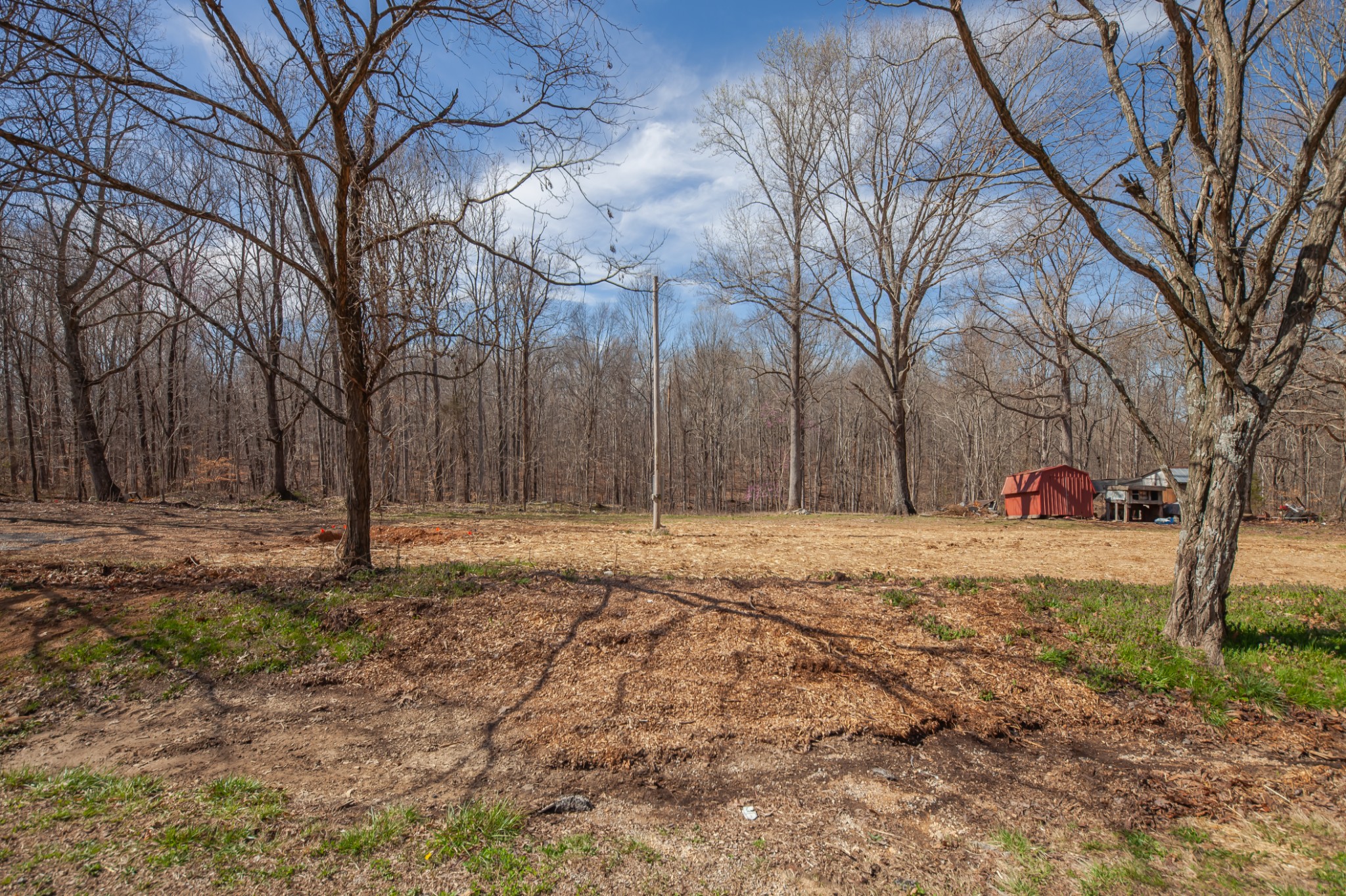 3249 Mobley Ridge Road Duck River, TN 38454 - Photo 8 of 17 Gallery Image 8