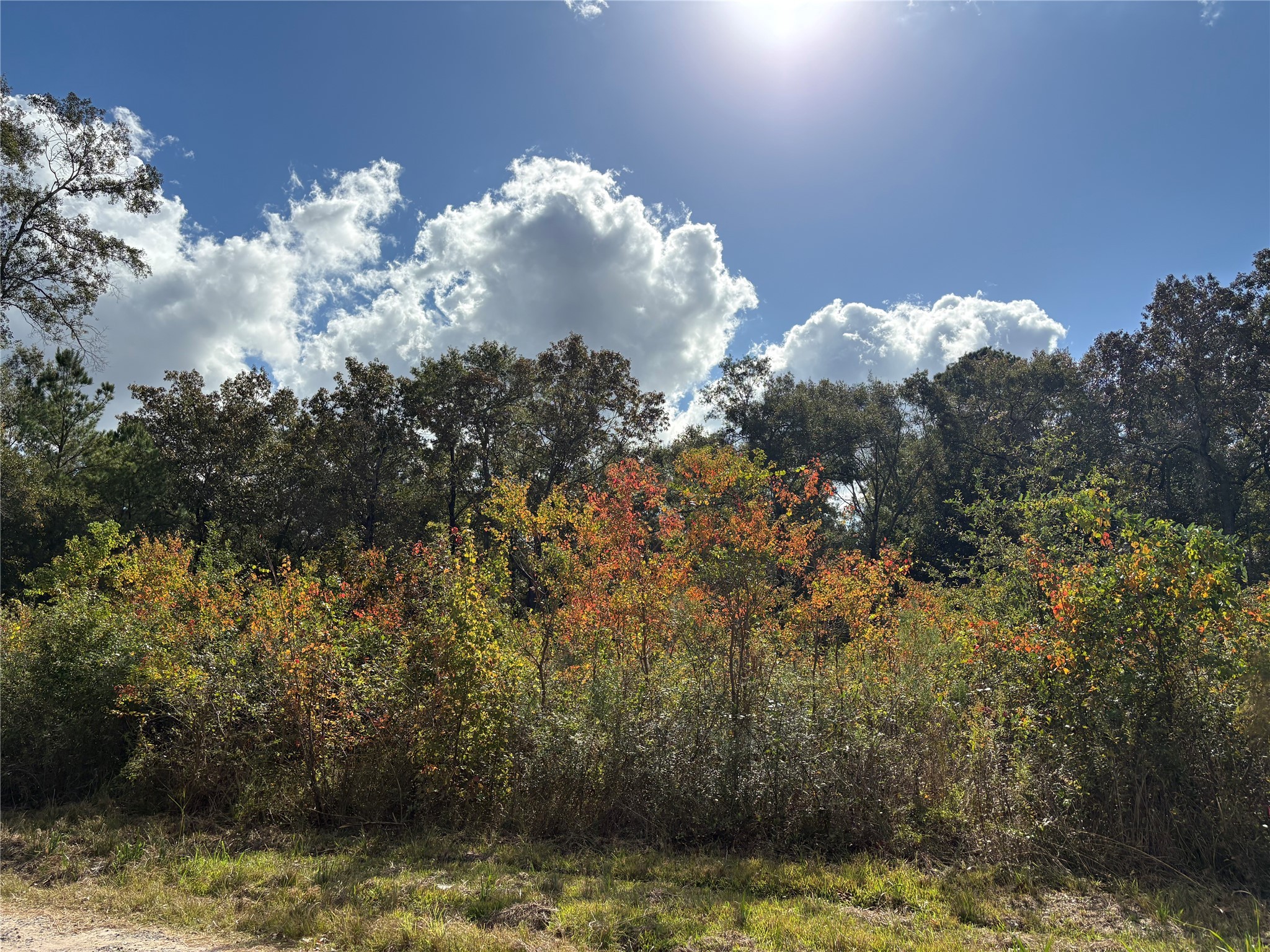 27404 Coral Splendora, TX 77372 - Photo 1 of 4 a view of a lake