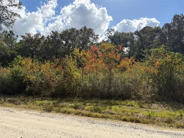 a view of outdoor space and trees