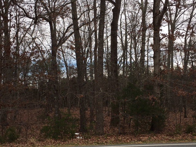 24 Old Courthouse Road, Unit 5 Appomattox, VA 24522 - Photo 1 of 1 Gallery Image 1