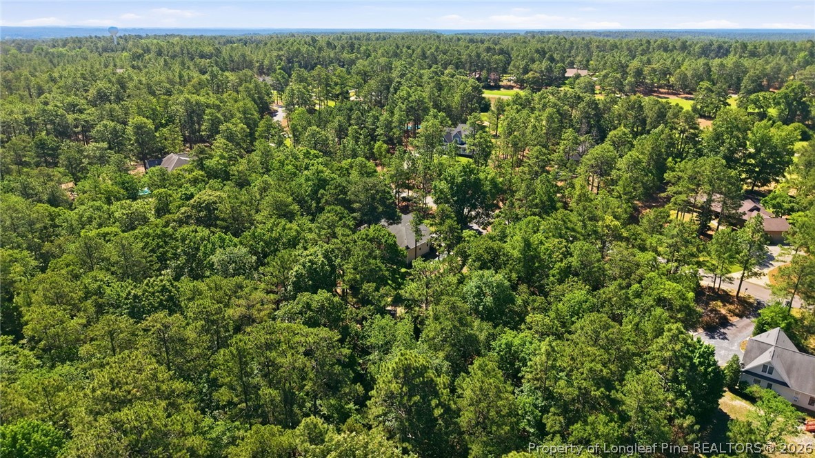 16 Ridge Road Jackson Springs, NC 27281 - Photo 48 of 50 an aerial view of a houses with a yard
