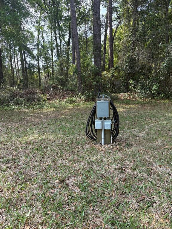 4150 South Apopka Avenue Inverness, FL 34452 - Photo 79 of 84 a view of a yard