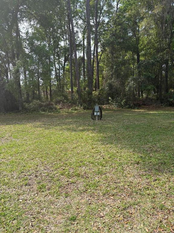 4150 South Apopka Avenue Inverness, FL 34452 - Photo 80 of 84 a view of a field with trees in the background