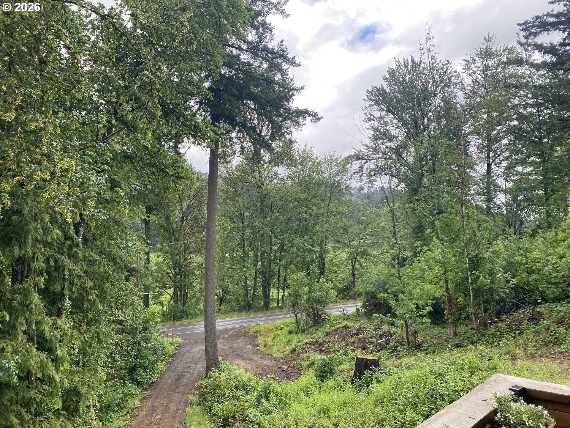45300 Goodpasture Road Vida, OR 97488 - Photo 15 of 38