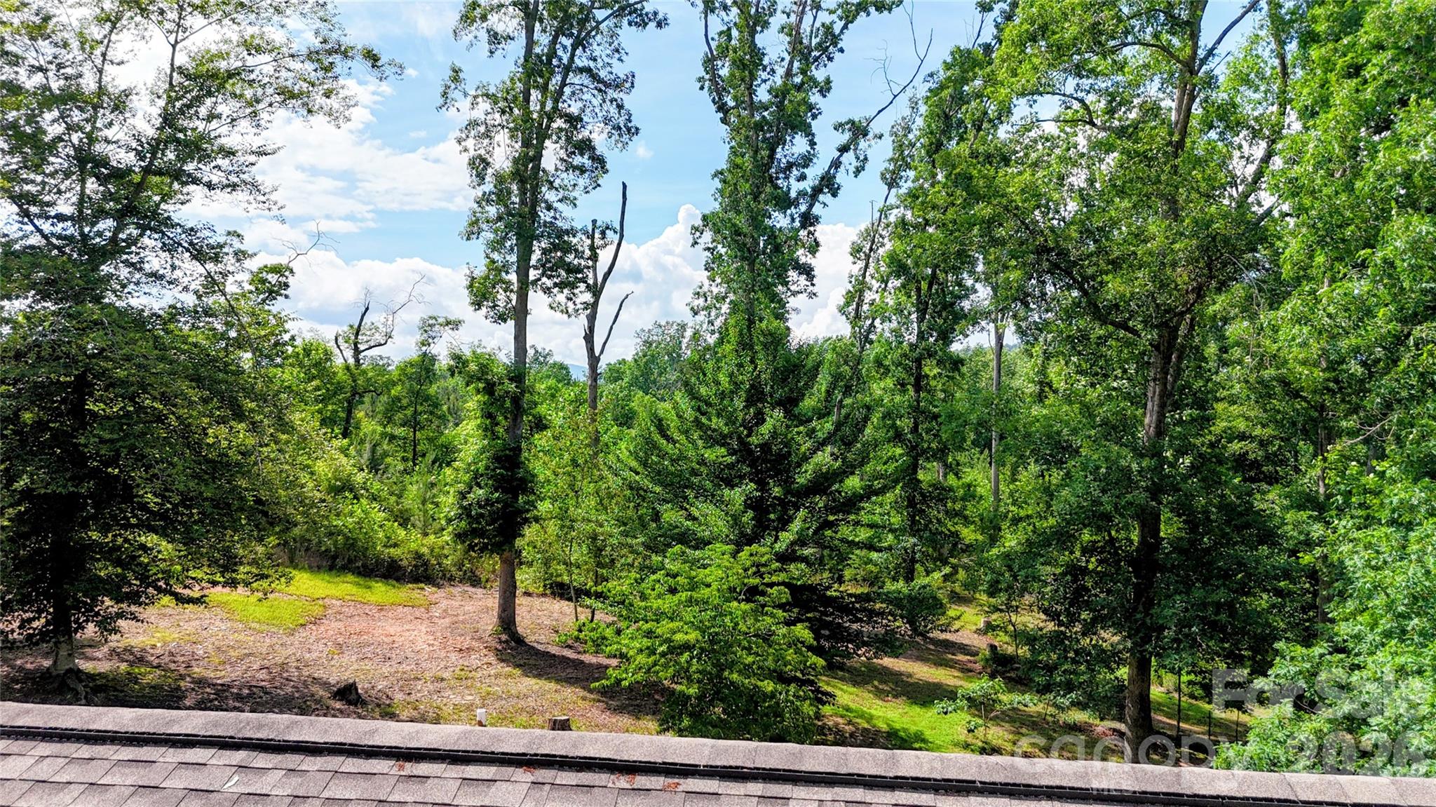 1943 Landrum Road Columbus, NC 28722 - Photo 9 of 19