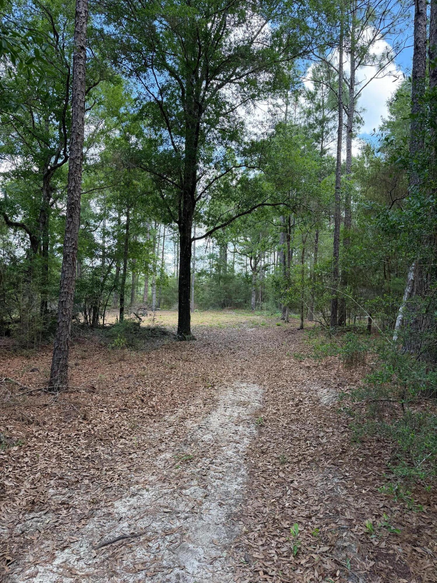0 Laird Road Crestview, FL 32539 - Photo 25 of 59 IMG_0672
