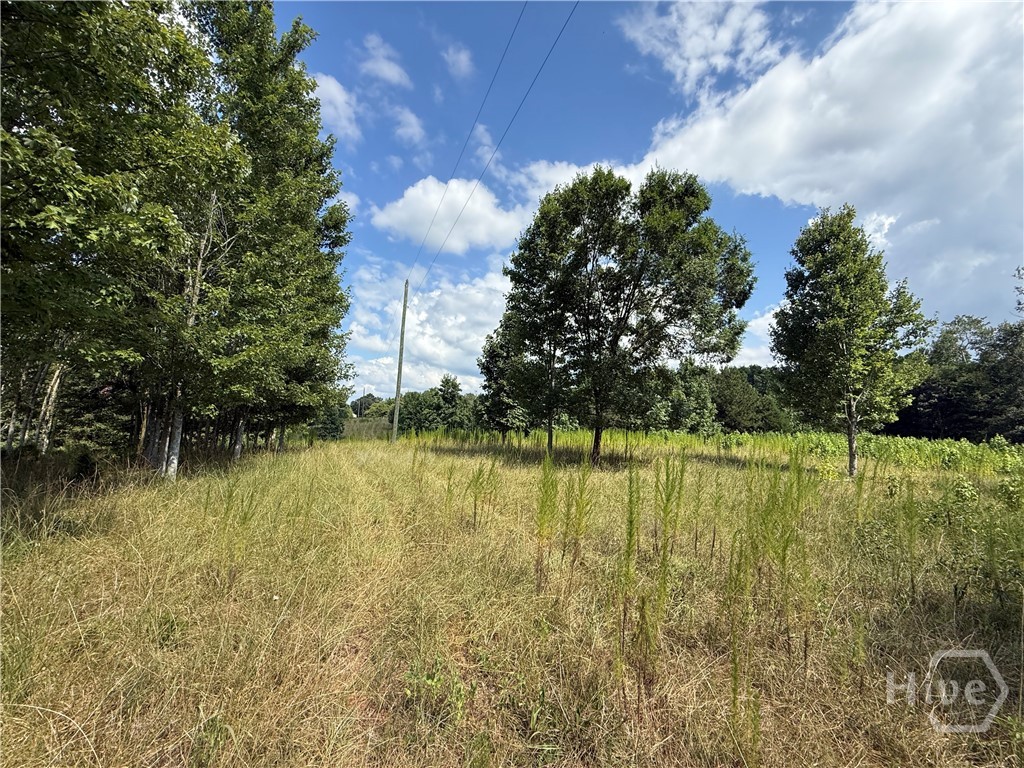 1276 Winns Lake Road Comer, GA 30629 - Photo 22 of 37
