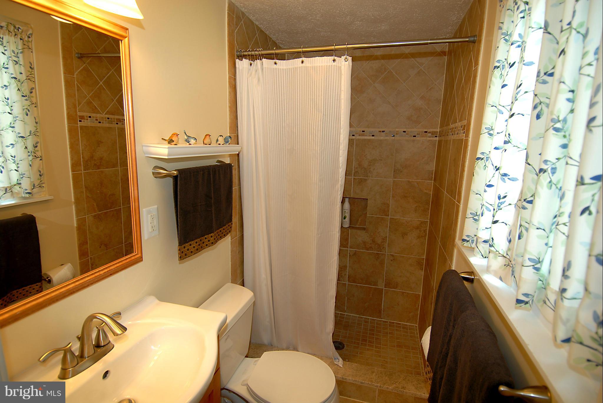 5805 Heming Avenue Springfield, VA 22151 - Photo 15 of 30 Bath (Master)