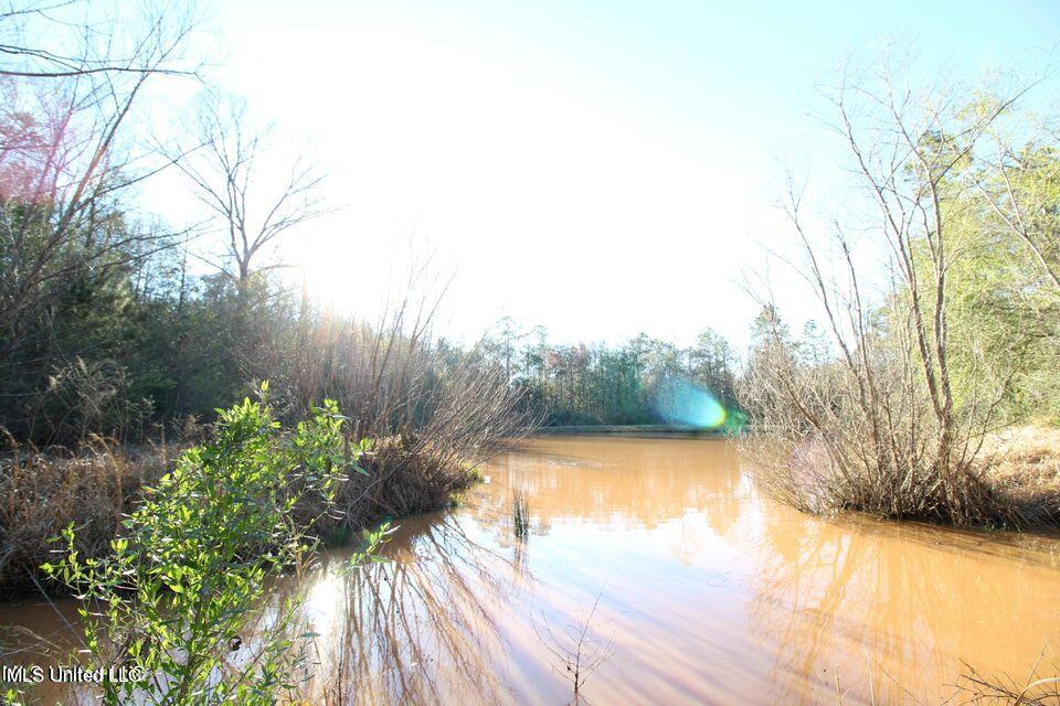 130 Long Leaf Road Lucedale, MS 39452 - Photo 15 of 19 20220314022444462829000000-o