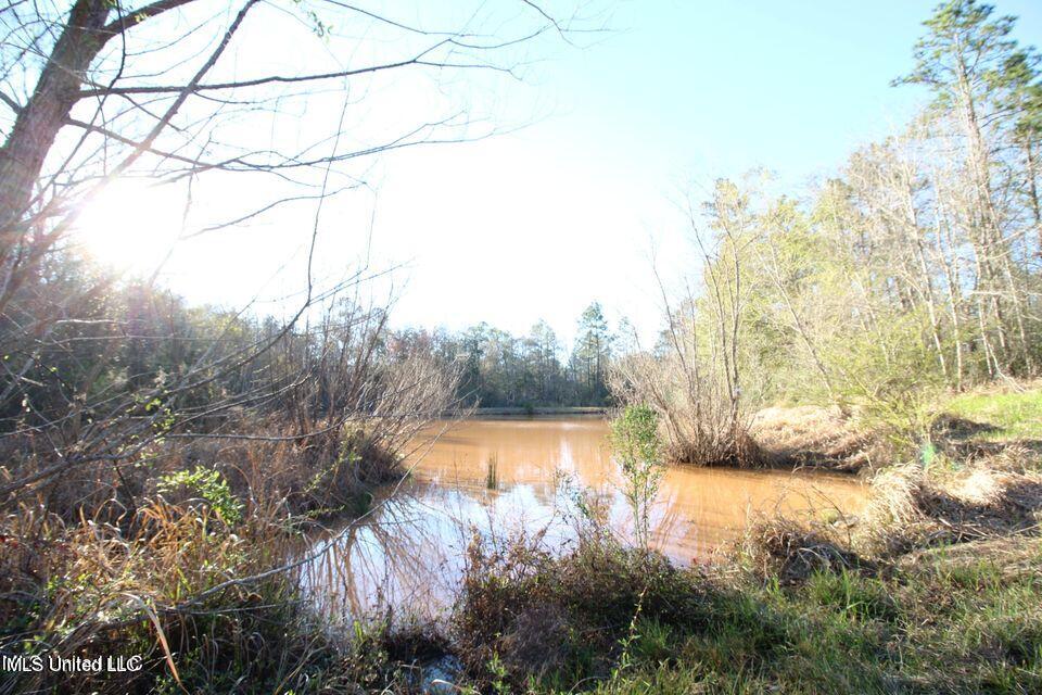 130 Long Leaf Road Lucedale, MS 39452 - Photo 16 of 19 20220314022548266018000000-o