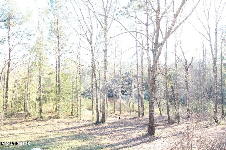 130 Long Leaf Road Lucedale, MS 39452 - Photo 18 of 19 20220314023447541065000000-o