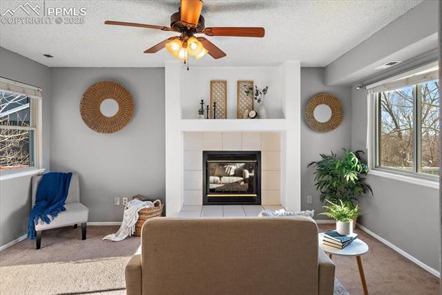 425 Blossom Field Road Fountain, CO 80817 - Photo 6 of 28