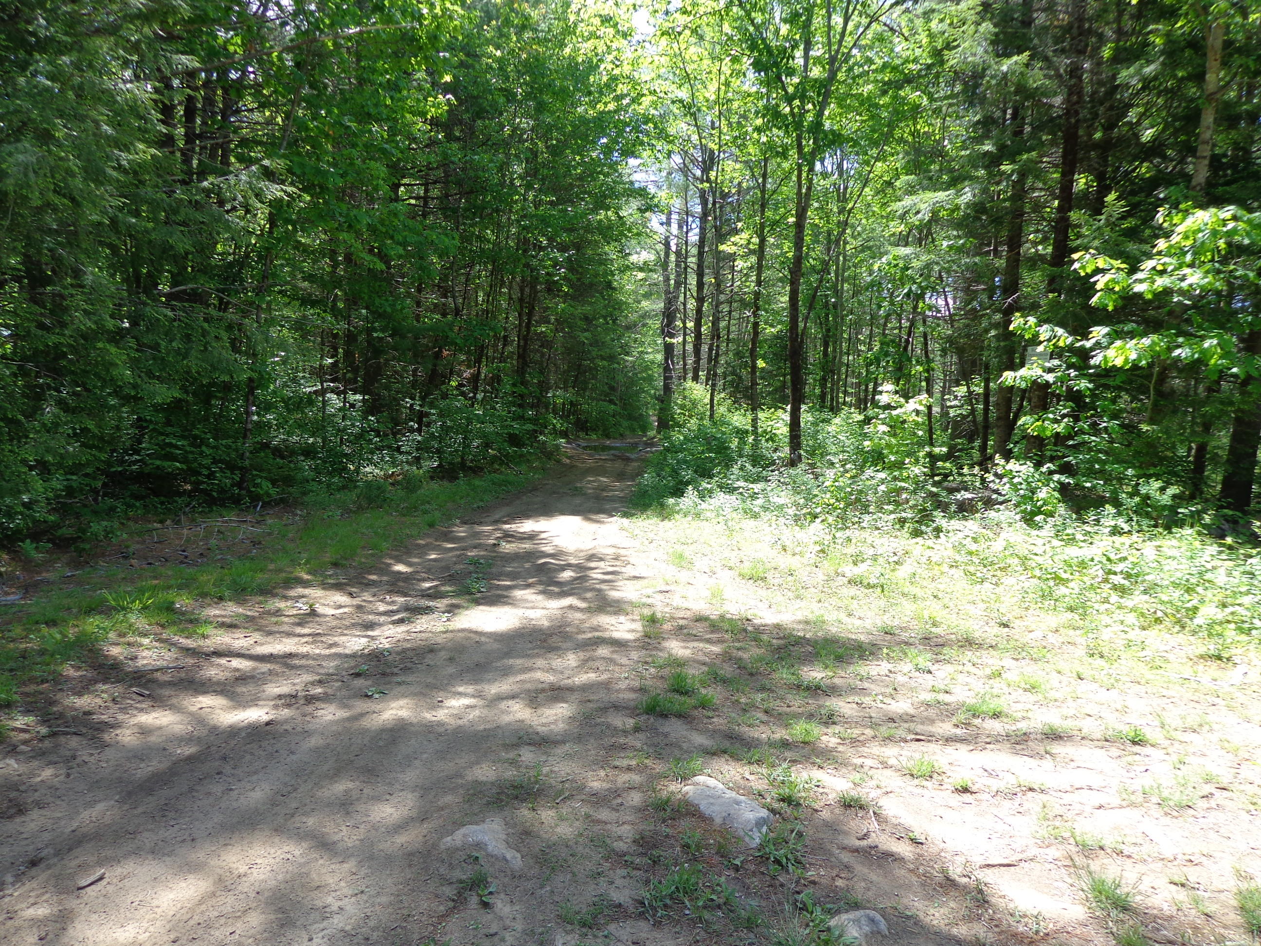 0 Owl's Nest Road Shapleigh, ME 04076 - Photo 5 of 5 DSC03603