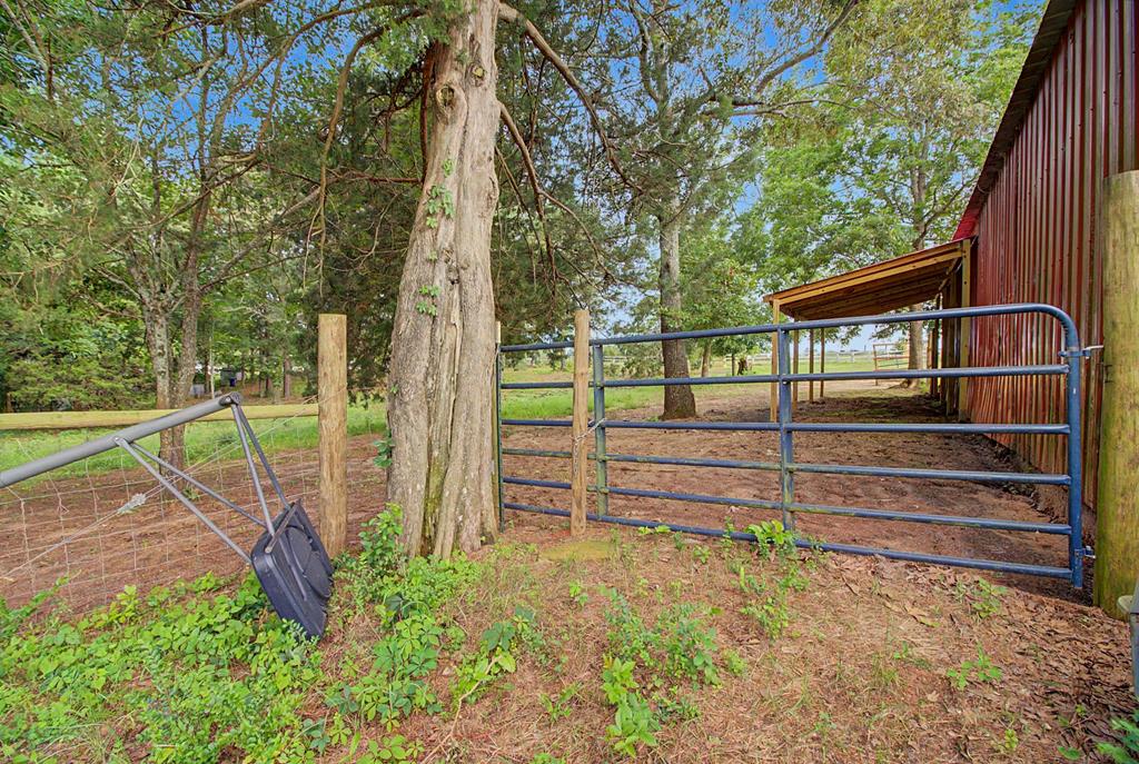 2129 Cumbie Road Newton, AL 36352 - Photo 57 of 64