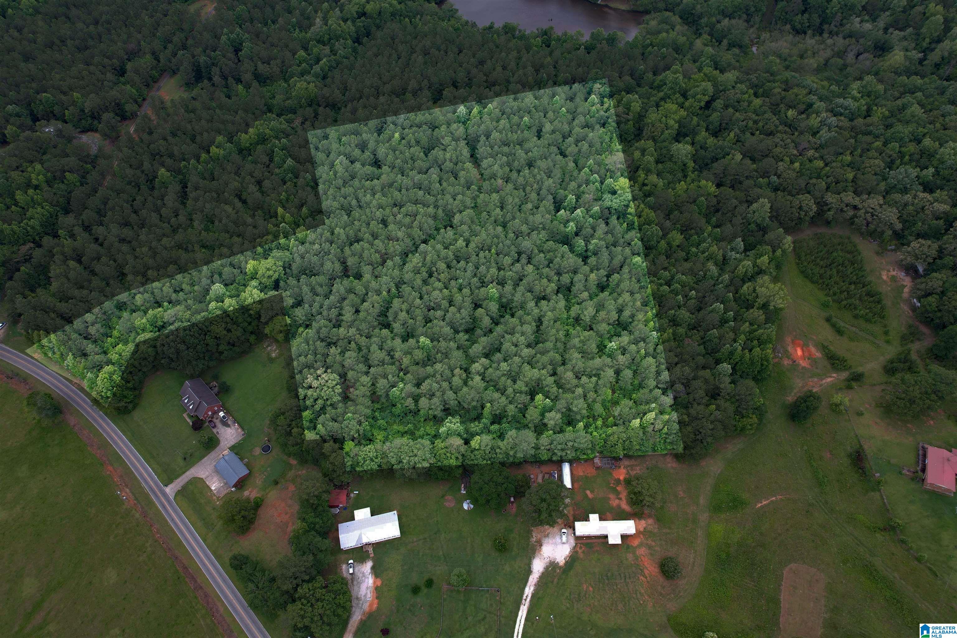 0 Houston Road Sylacauga, AL 35151 - Photo 8 of 32