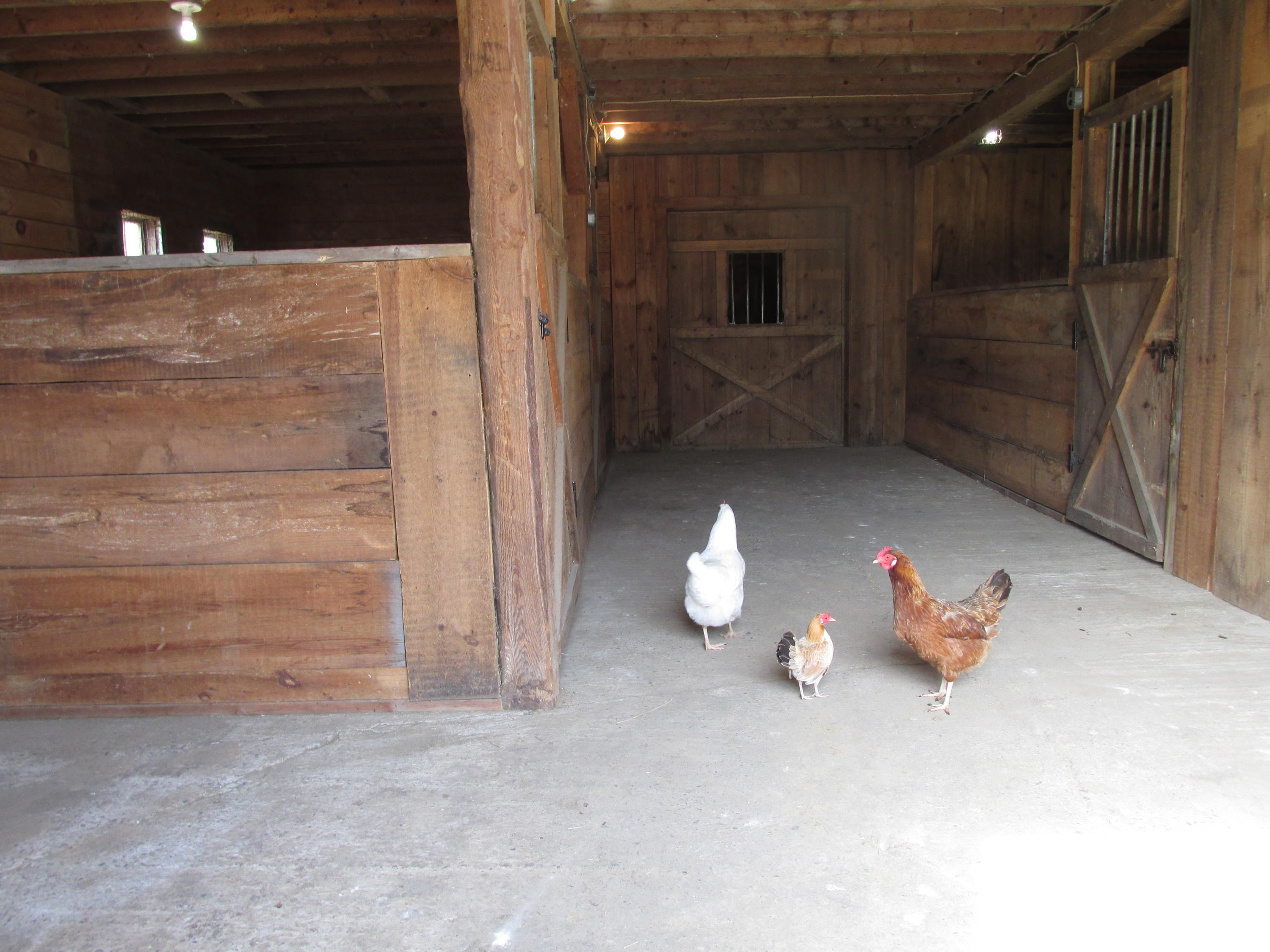 73 Mountain Road St. Albans, ME 04971 - Photo 28 of 68 IMG_0395