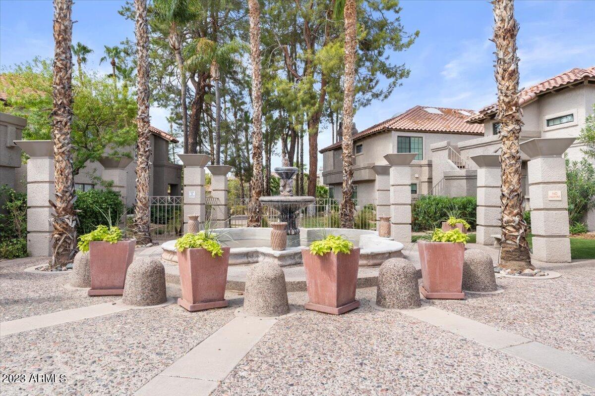 10017 East Mountain View Road, Unit 2053 Scottsdale, AZ 85258 - Photo 2 of 31 a view of a white house with potted plants and a large tree