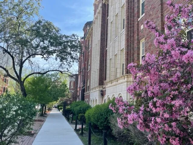 $2,608 | 1824 North Lincoln Park West, Unit 201, Chicago, IL 60614