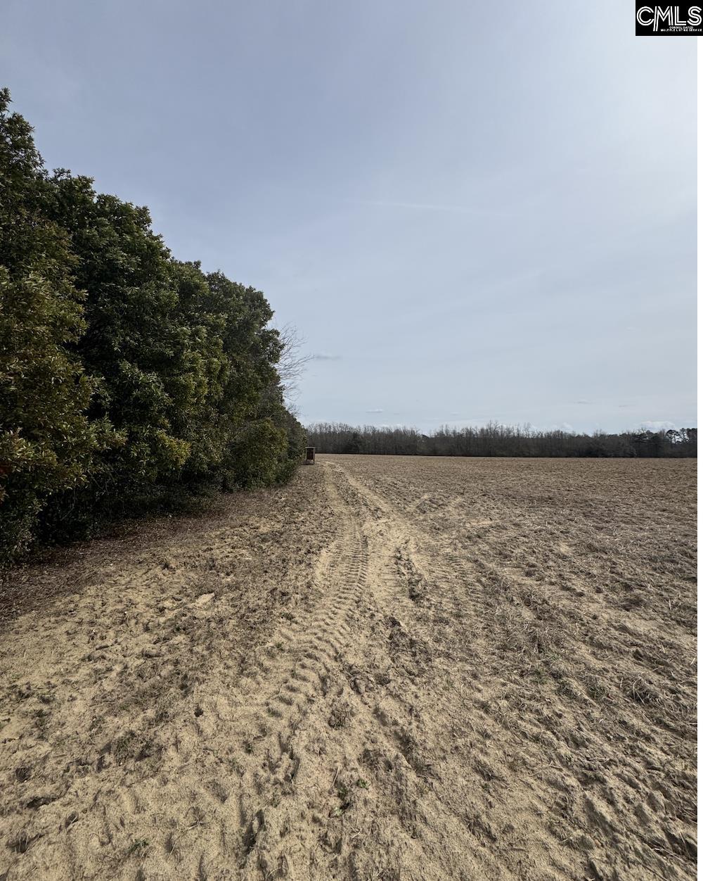 Tbd Firetower Road Springfield, SC 29146 - Photo 4 of 12