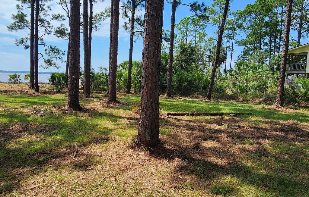 Lot 1 River Cove Road Panacea, FL 32346 - Photo 7 of 12 Gallery Image 7