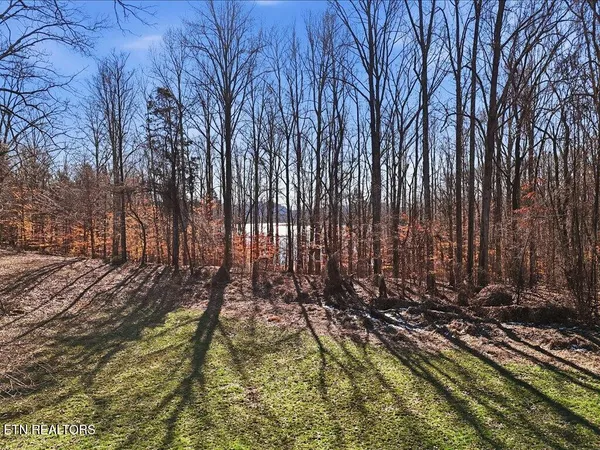 $50,000 | 141 Red Cloud Lane, Rutledge, TN 37861