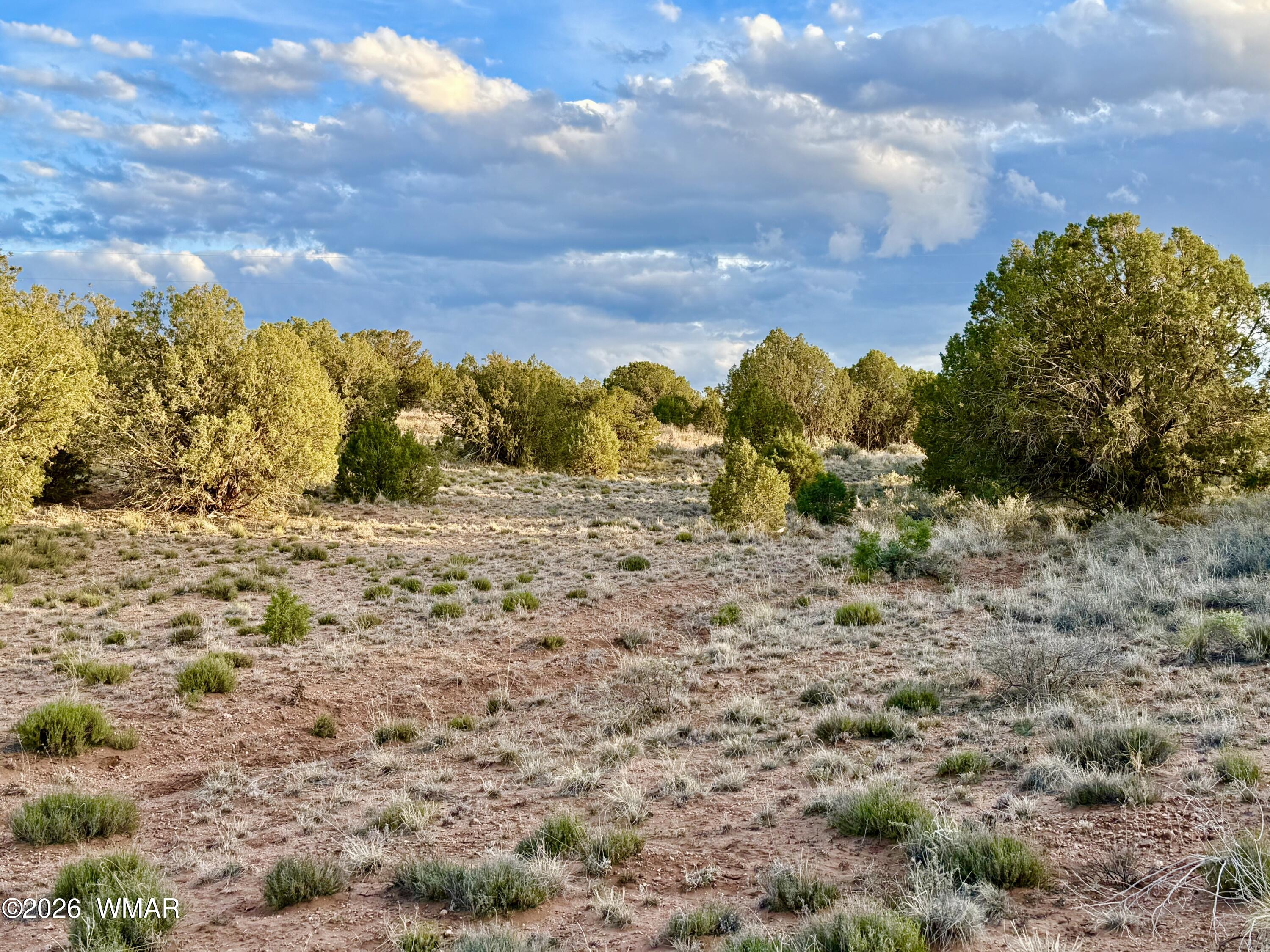 4428 Colt Road Snowflake, AZ 85937 - Photo 22 of 22 IMG_6150