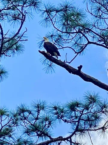 $850,000 | 372 Rest Haven Road, Geneva, FL 32732