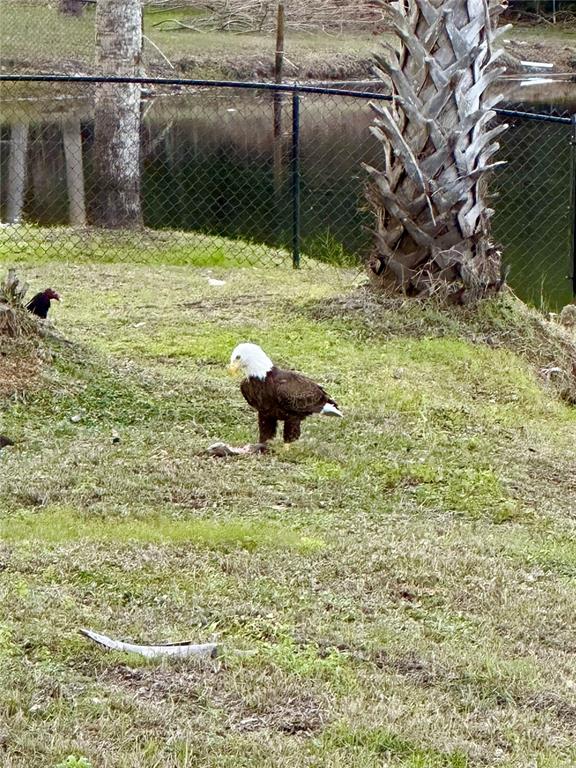 372 Rest Haven Road Geneva, FL 32732 - Photo 65 of 68 a view of a yard