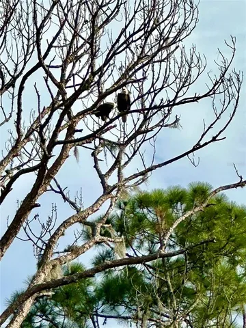 $850,000 | 372 Rest Haven Road, Geneva, FL 32732