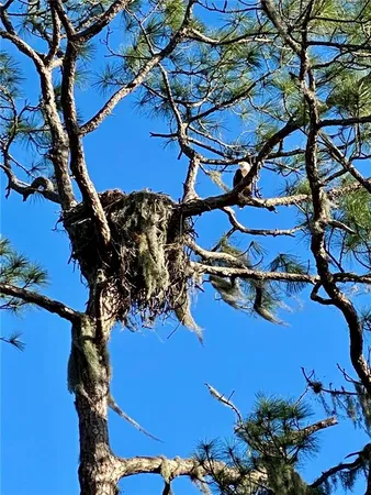 $799,999 | 372 Rest Haven Road, Geneva, FL 32732