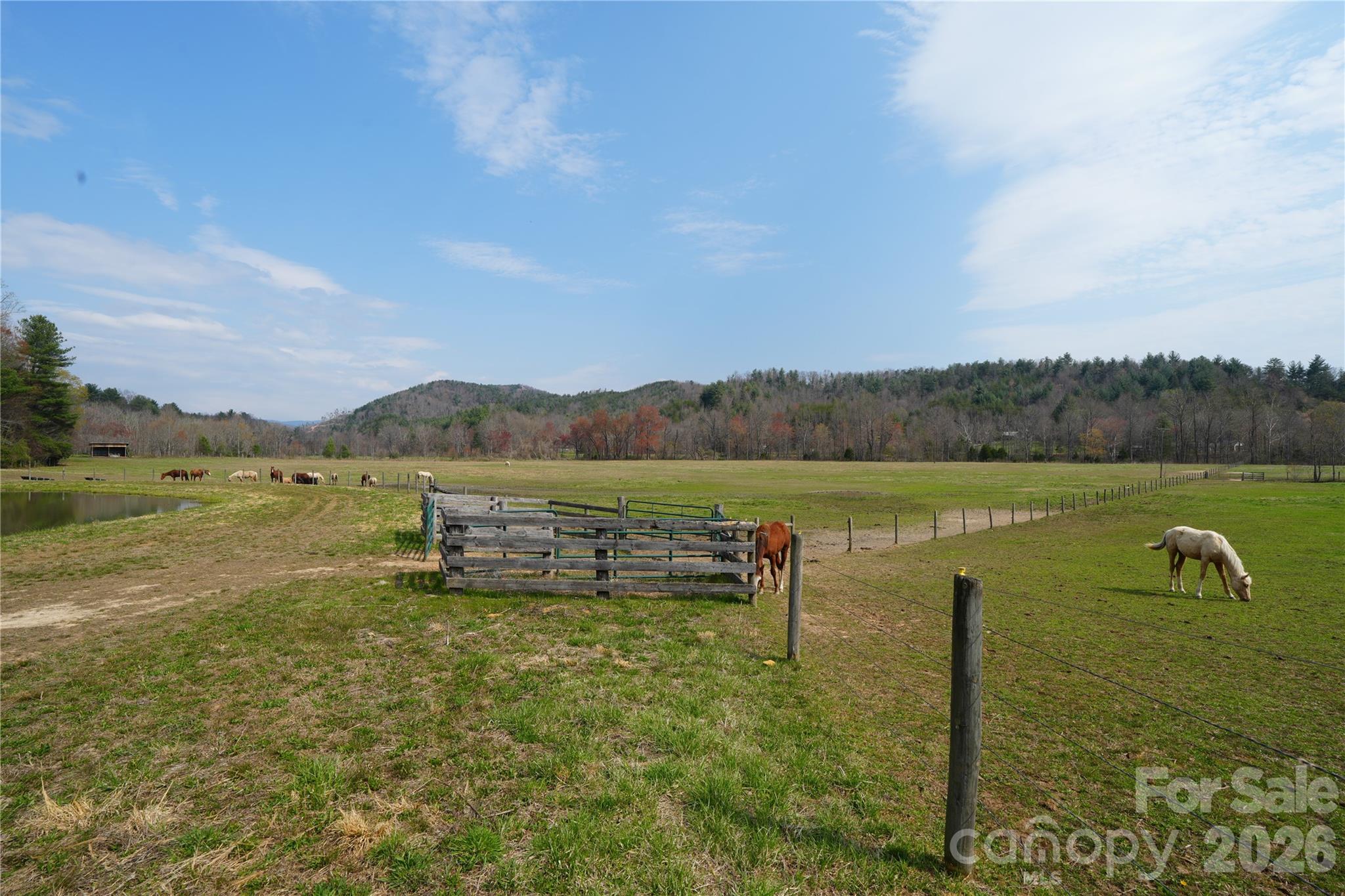 316 Lewis Fork Baptist Church Road Purlear, NC 28665 - Photo 11 of 47