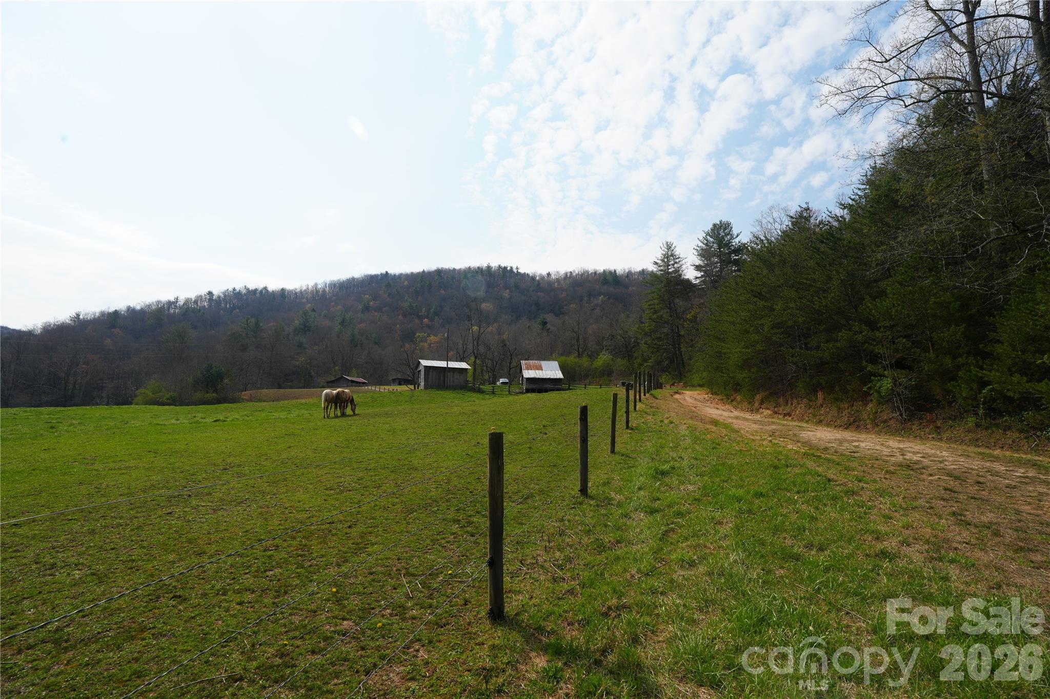 316 Lewis Fork Baptist Church Road Purlear, NC 28665 - Photo 12 of 47