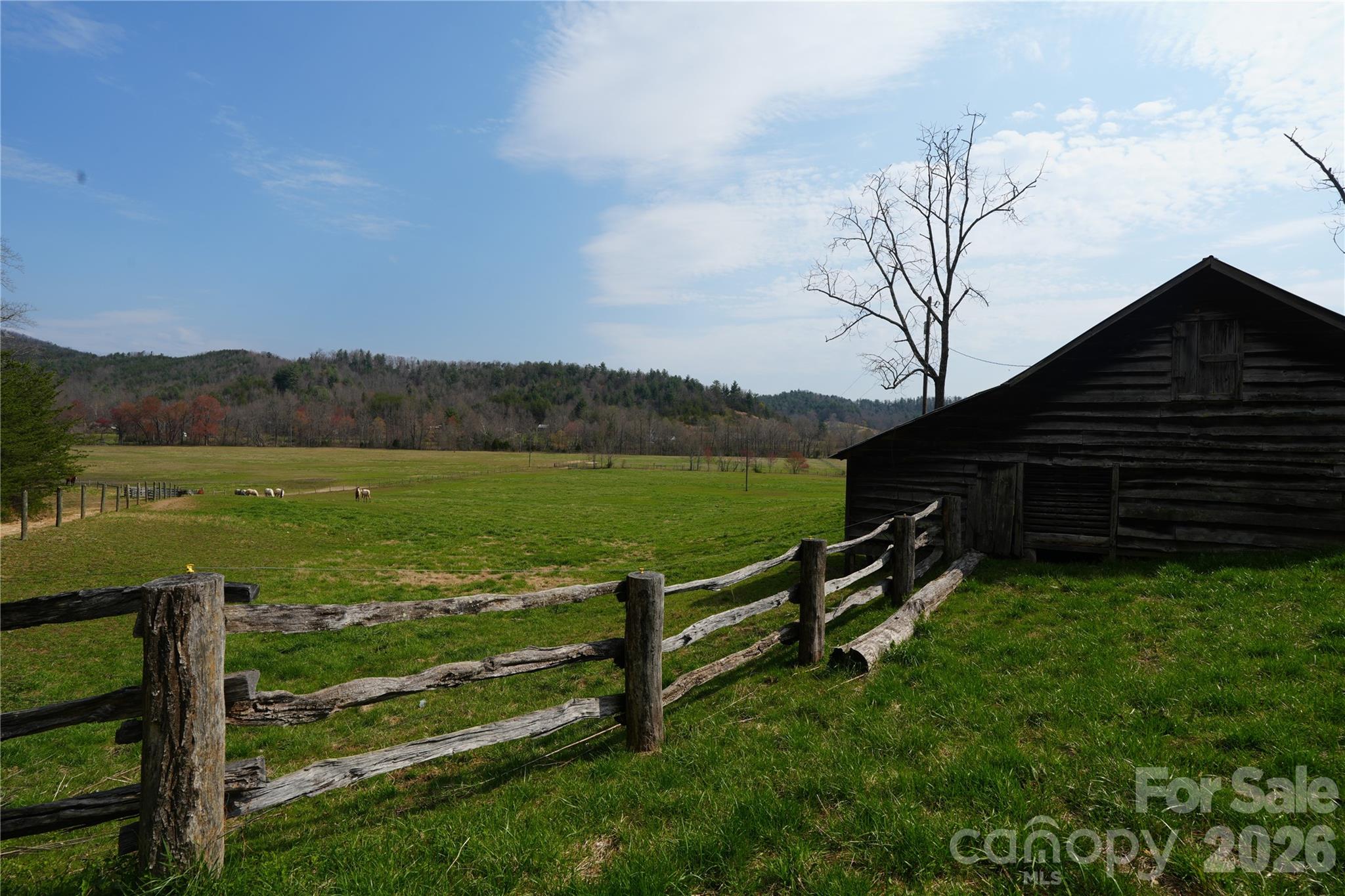 316 Lewis Fork Baptist Church Road Purlear, NC 28665 - Photo 13 of 47