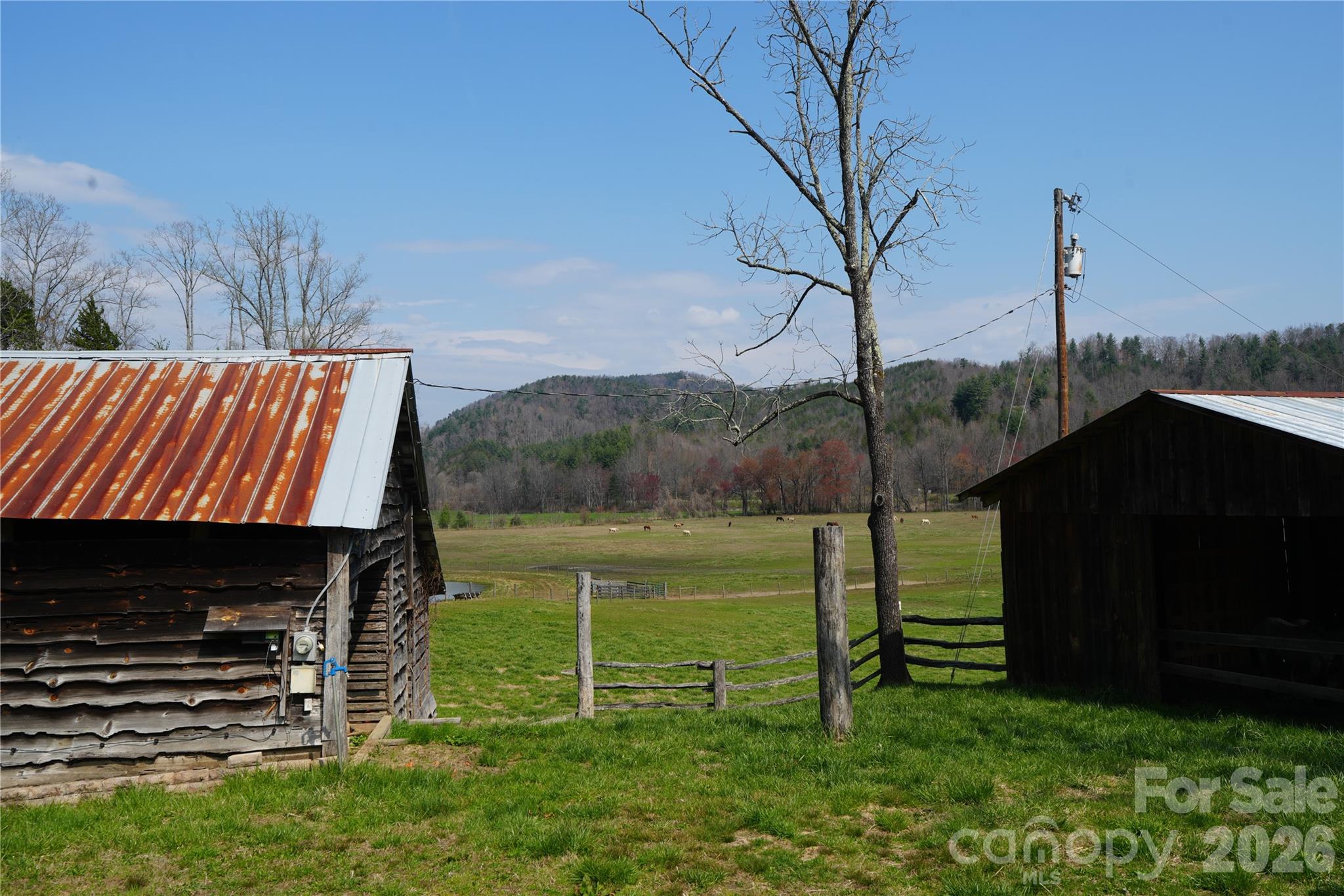 316 Lewis Fork Baptist Church Road Purlear, NC 28665 - Photo 17 of 47