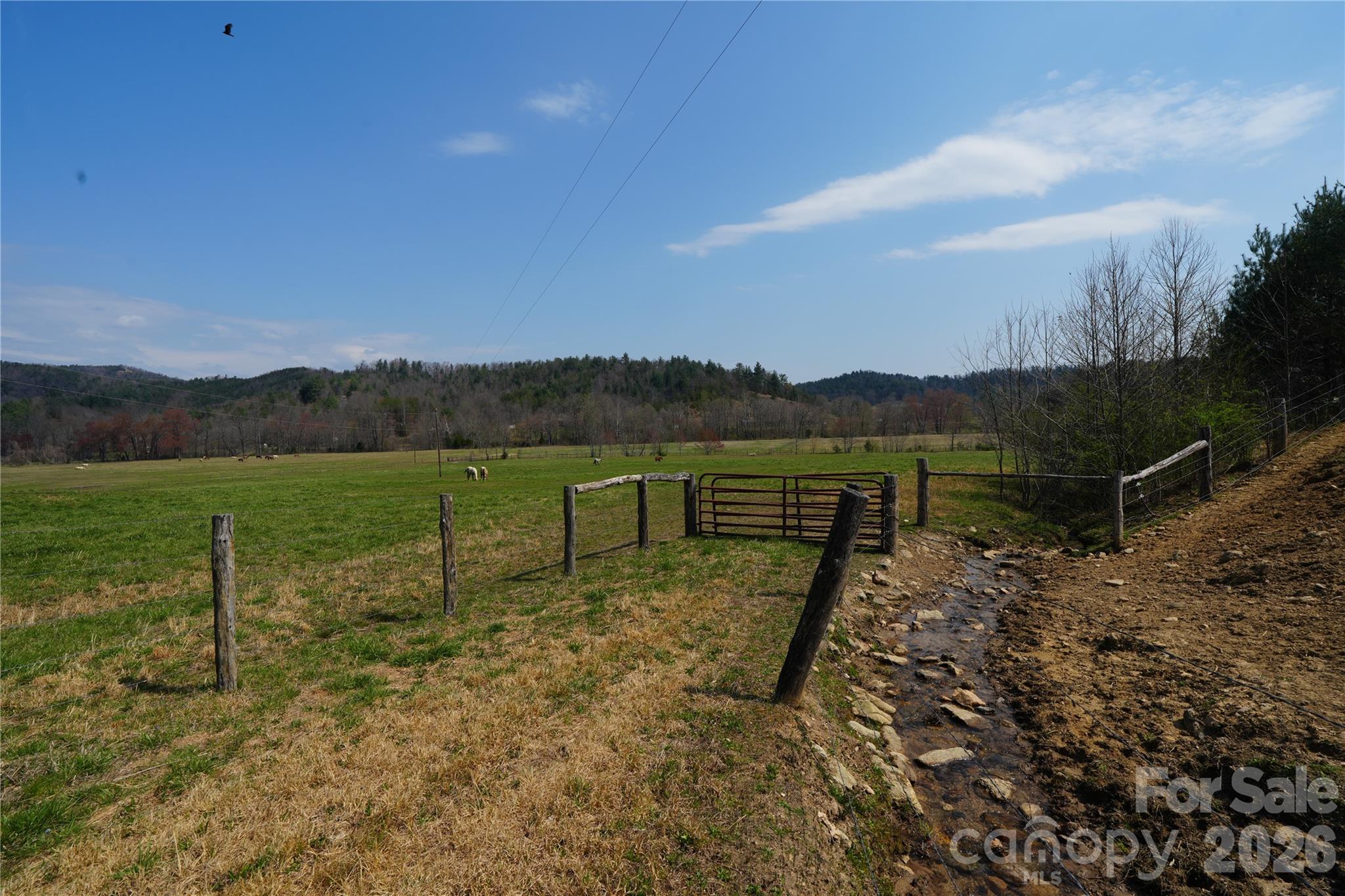 316 Lewis Fork Baptist Church Road Purlear, NC 28665 - Photo 18 of 47