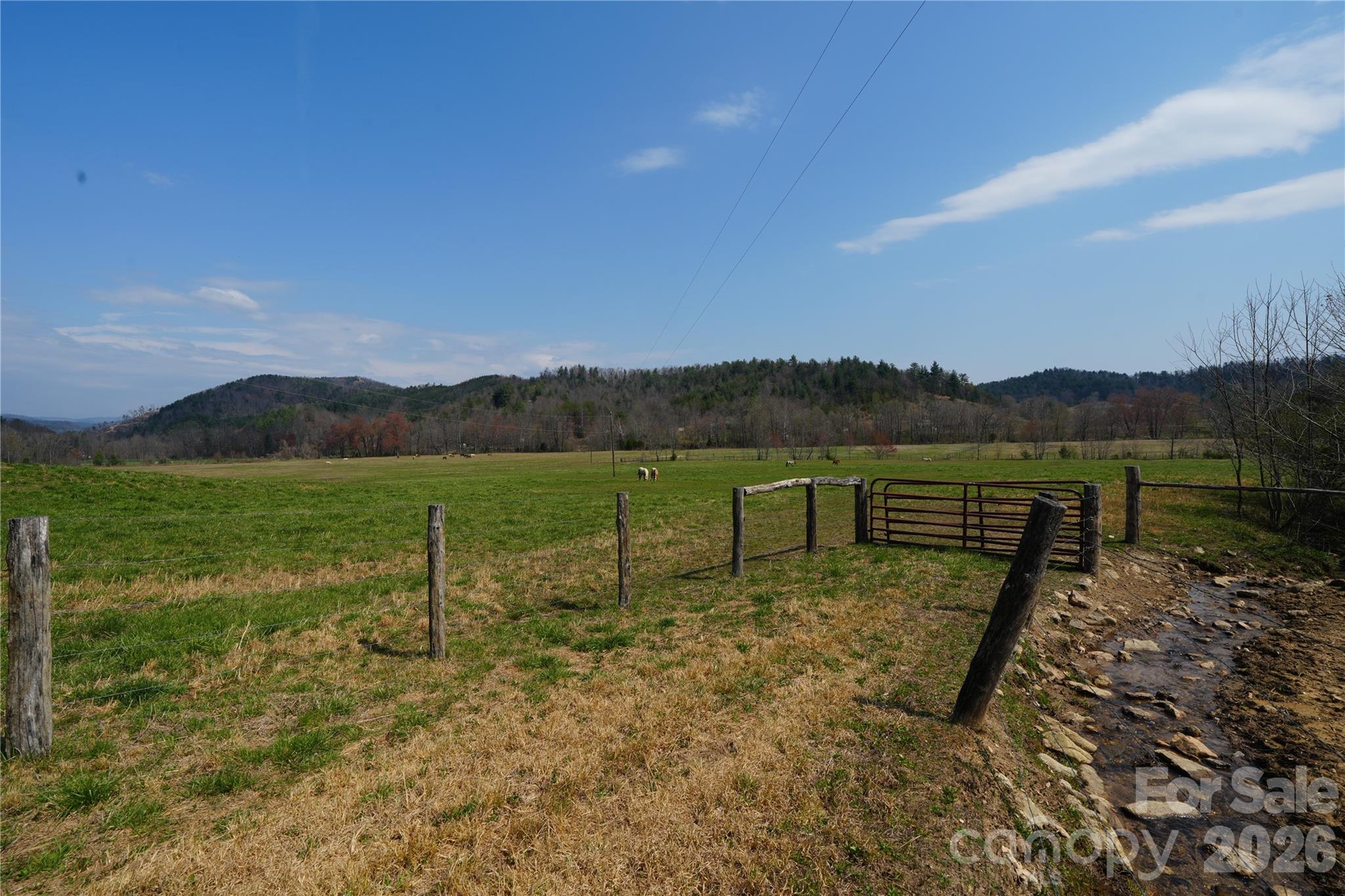 316 Lewis Fork Baptist Church Road Purlear, NC 28665 - Photo 19 of 47