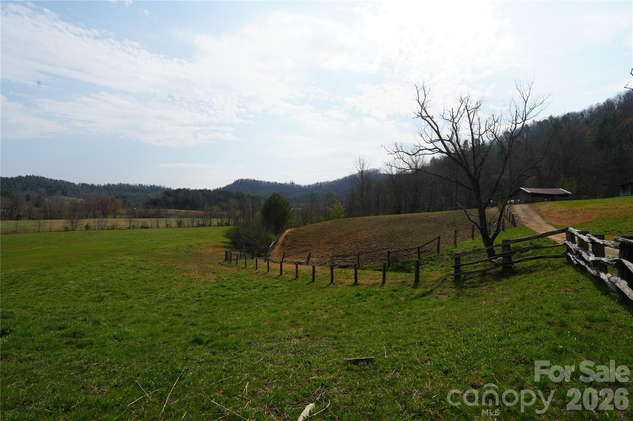 316 Lewis Fork Baptist Church Road Purlear, NC 28665 - Photo 2 of 47