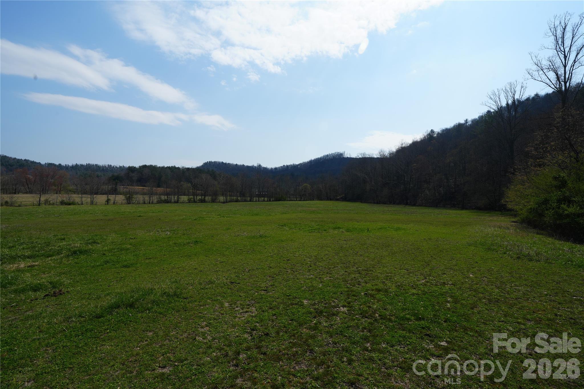 316 Lewis Fork Baptist Church Road Purlear, NC 28665 - Photo 22 of 47