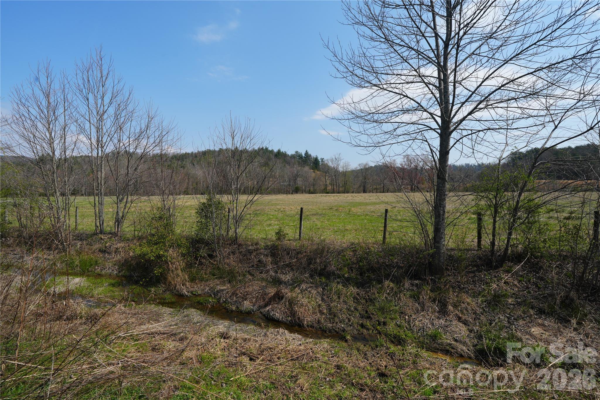 316 Lewis Fork Baptist Church Road Purlear, NC 28665 - Photo 24 of 47