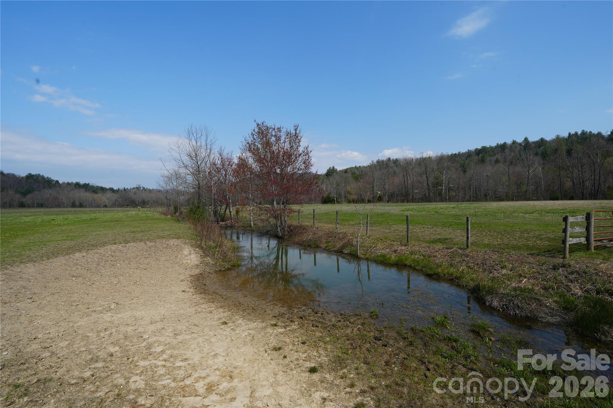 316 Lewis Fork Baptist Church Road Purlear, NC 28665 - Photo 25 of 47