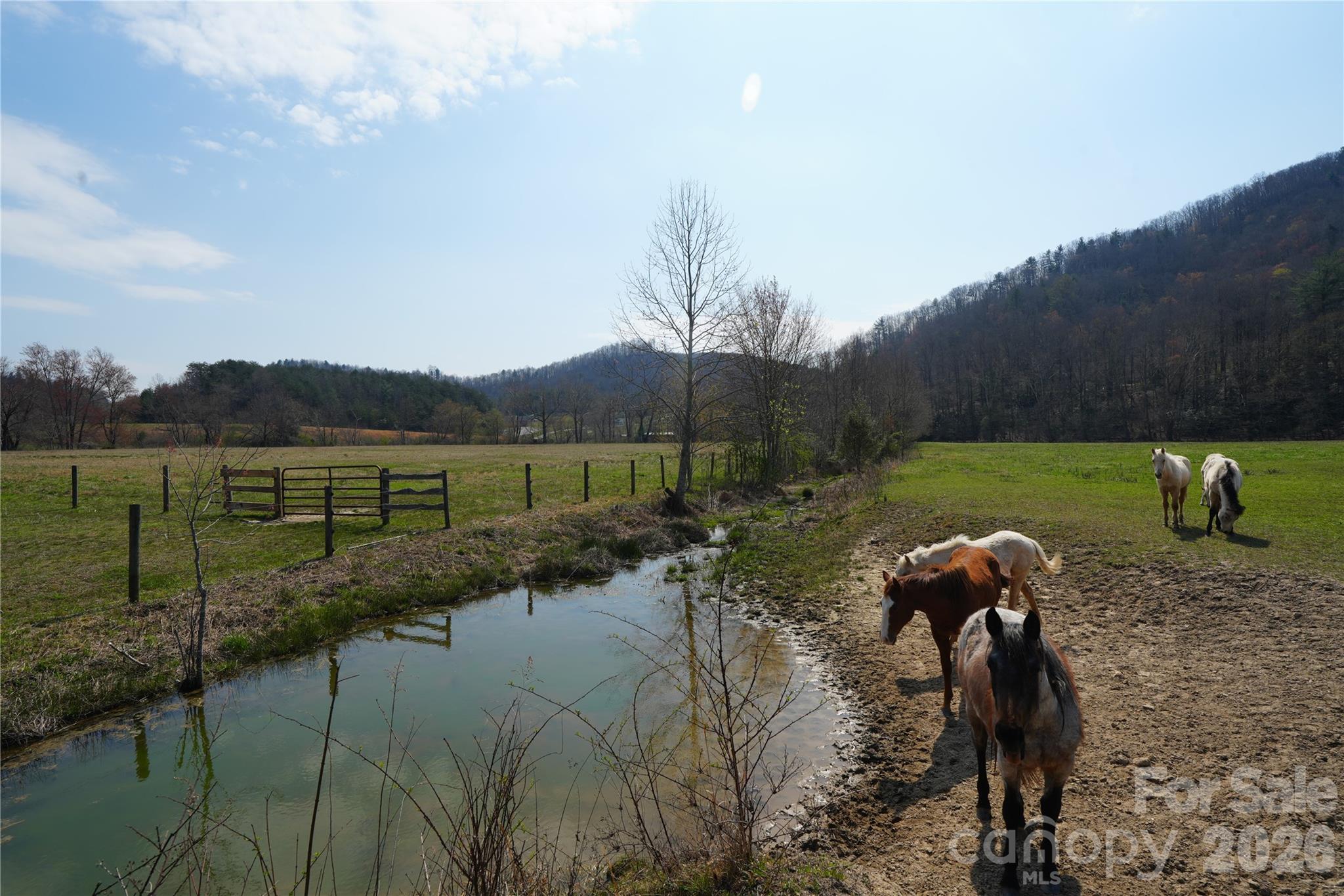 316 Lewis Fork Baptist Church Road Purlear, NC 28665 - Photo 27 of 47