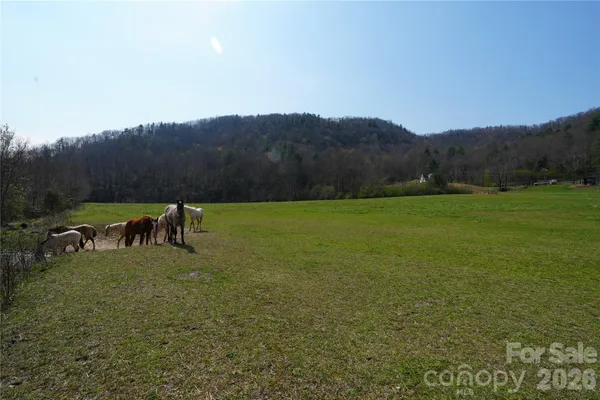 a view of backyard with mountain view and a lake view