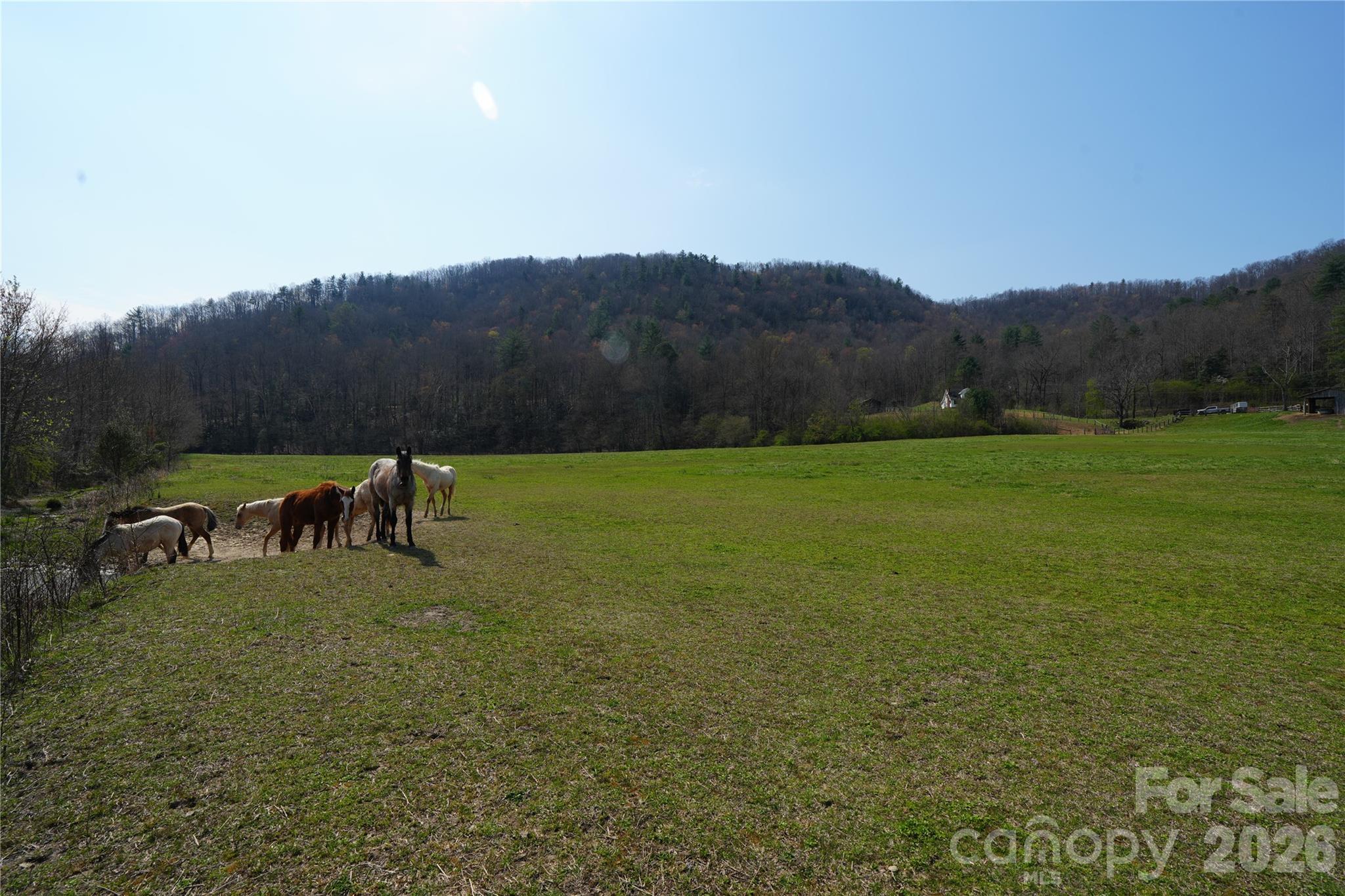 316 Lewis Fork Baptist Church Road Purlear, NC 28665 - Photo 28 of 47